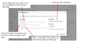 Facebook Insights